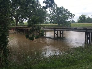 View from Mt. Pilgrim Missionary Baptist Church looking downstream at Caney Creek. According to Clifford Rugeley, baptisms in the creek continue into the present. Heavy rains in the previous days had not only elevated the creek's volume, but had also turned the water murky brown. Photo taken in May 2016.